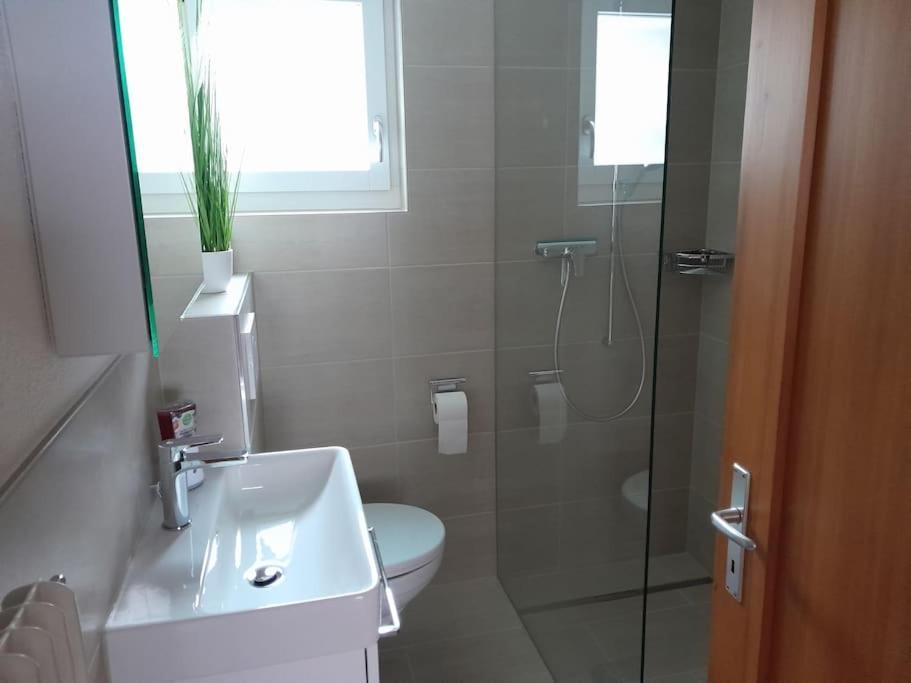 2 1/2 Zimmer Ferienwohnung Meiringen Luaran gambar